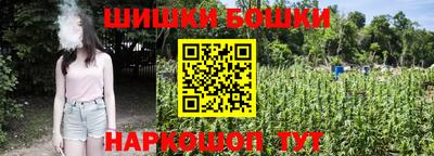 дмт Будённовск