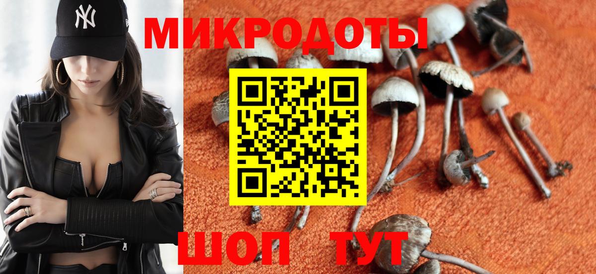 Псилоцибиновые грибы мухоморы  Вход с VPN  Балашов 